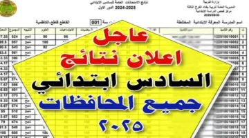 رابط نتائج السادس الابتدائي 2025 الدور الثالث.. استعلم الآن بالاسم أو الرقم الامتحاني عبر موقع نتائجنا